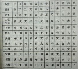我的八字命宫位置在哪里可依调整吗？