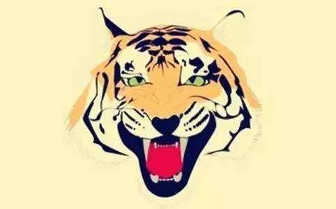 姬姓属虎的女孩名字有哪些推荐？