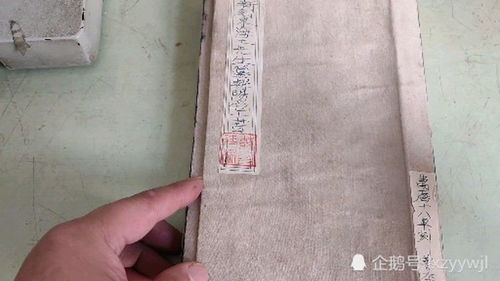 六、 综合评议与学术反思