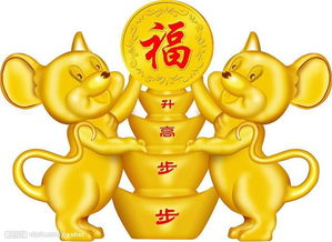 财富有运势解析（十分沉关键）！千万不要错过！看完你就明白了！！！