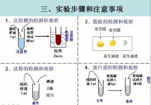 3. 解析发用过程中的机变规律