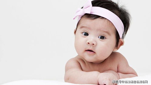 一、为哪些要给肖姓女孩起一个“精选”名字？