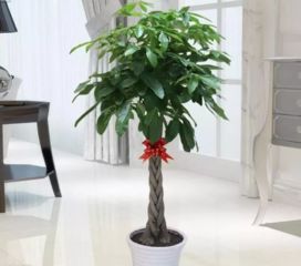 六、 实操规范与常见禁忌汇总