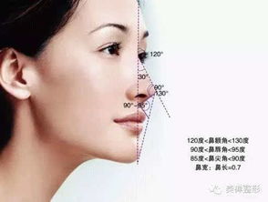 2. 短小朝天鼻的恐怖真相