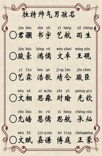 2. 引用诗词典故：