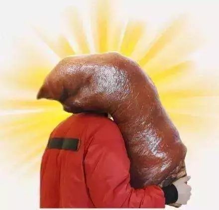 属猪女性事业心强不强，她们的人生赢家标准是什么？