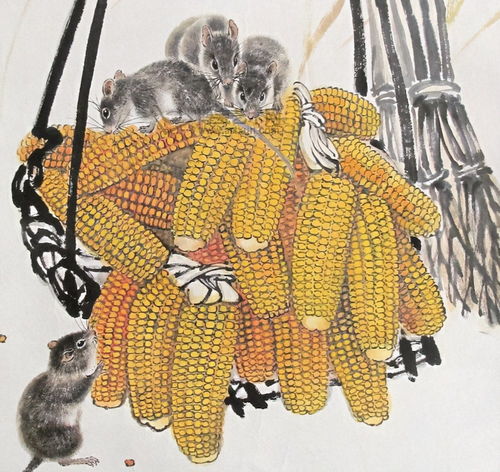 花打一生肖指的是什么生肖，花被子盖鸡笼打一生肖又是什么生肖？