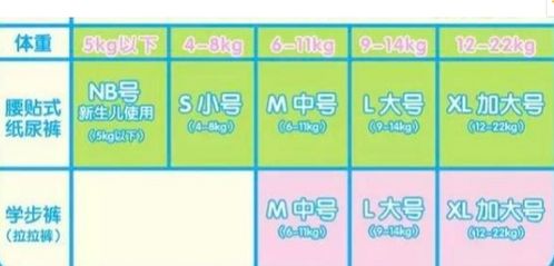 一、 黄道吉日概念的历史渊源与理论框架
