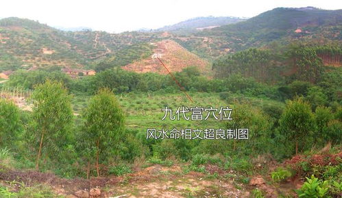 文超良风水案例中，有哪些良本风水可以借鉴？