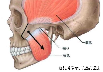 二、 鼻骨骨折的临床表现与初步判断依据