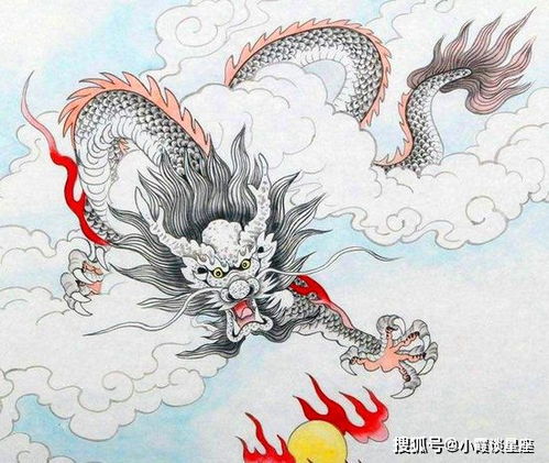 龙前龙后绕三圈打一生肖，寓意是什么？