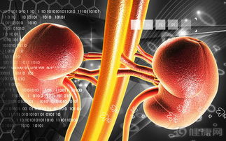 一、  疾病符号的时空分布与病情迁延的关联性分析