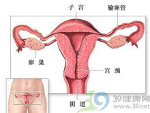 子宫破裂的典型症状表现