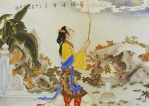 1.1 生态冲突与恐慌投射