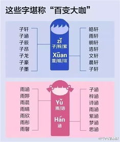 一、 先别急着写名字——先把脑子掰开来