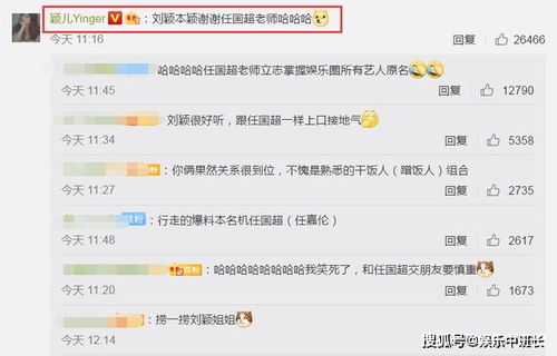 名字的魅力与昵称的艺术：打造独特又迷人的数字标识