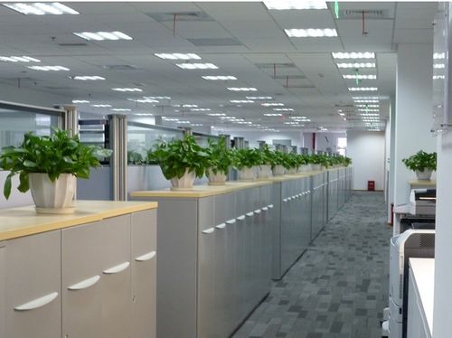 2. 办公桌附近：提升个人气场与助益事业