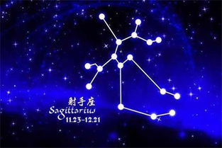 单身射手座的恋爱机会