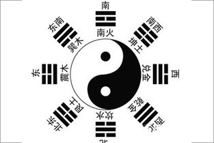 年干与纳音之间的互补关系及命运影响