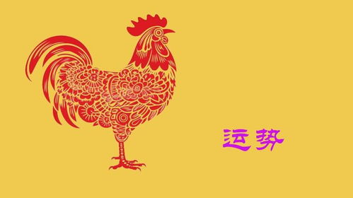 2025年属鸡的人今年多少岁了，与2023年属鸡的人相差几岁？