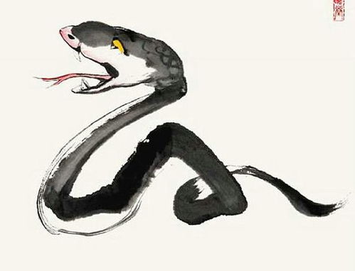 2001年属蛇人2026年运势及运程具体如何？