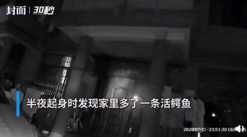 邻居家总会响起一阵敲门声