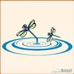 蜻蜓点水在风水学中预示着什么吉凶？