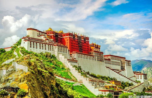 布达拉宫龙脉风水布局有何独特之处？