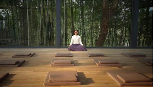正念与正念禅修于提升专注力之效对比探究