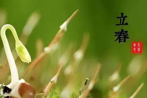 二、 立春具体时刻及躲春时间段段的确定