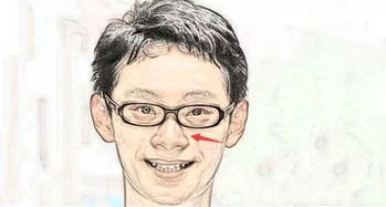 一、 整体面相结构与听从倾向的关联