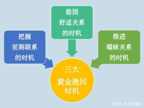 第三章：多元化干预手段的实证研究与风险评估