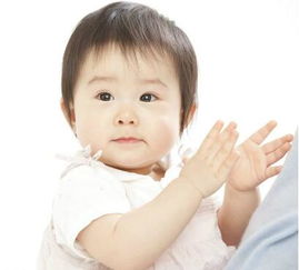 属狗土旺的人如何取名字？属狗起名有哪些喜好和忌讳？