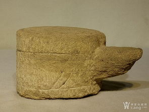 哎呀我去！石龟这玩意儿到底有啥讲究？