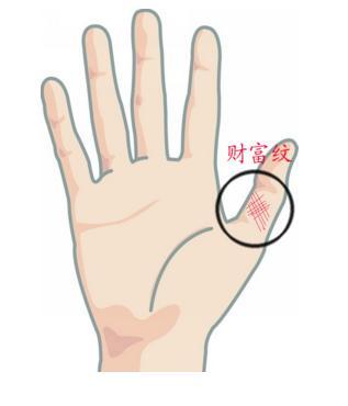 手纹真的能准确预测女生的面相和命运吗？