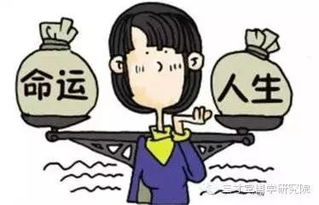 算命时不用看八字的人，为何八字已提供却不给分析或建议呢？