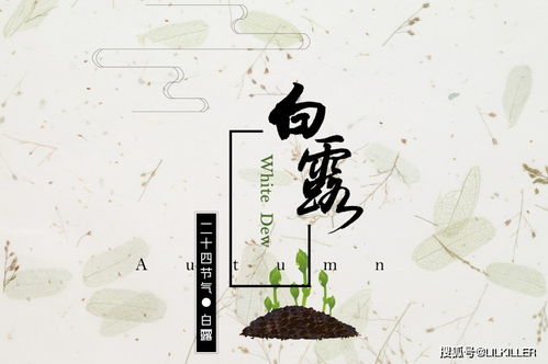一、 研究背景与时空坐标的界定