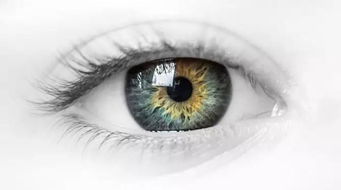 眼睛下方为何会出现深长八字纹，与眼内角成八字纹有关吗？