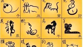 八字看财运如何，财从何方来？