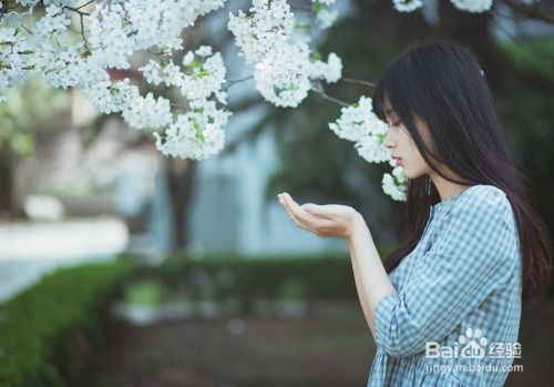 五、  情感执念与行动哲学：关于“表白”与“遗忘”的辩证思考