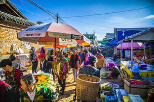 科巷早市哲学：避网红小吃 跟本地人吃早餐