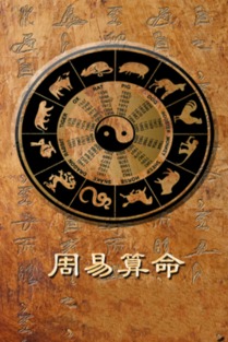 八字命理的基本概念及其应用维度