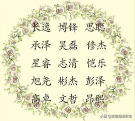 花鸟之美：柔美典雅