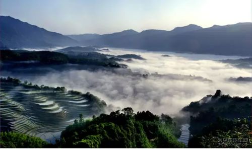 南充巴中深度游线路推荐：那些藏在川东北的宝藏地儿