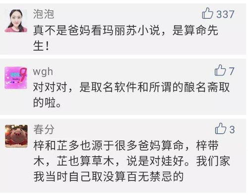：一个名字背后的沉重量