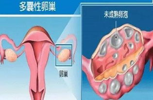 寻求专业协助