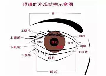 七、妨碍市场价格较高人运发挥的行为模式及其对策提议