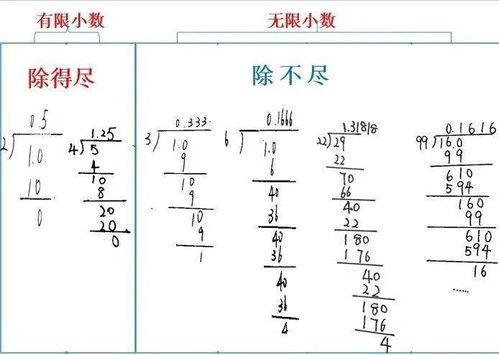 八字推算背后的逻辑依据是什么其原理和依据究竟是怎样的？