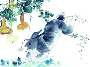 属兔金牛女2026年运势如何？她一生的命运会有哪些特点？