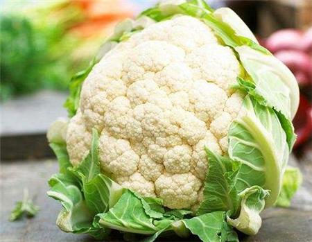 手捧花菜の阴谋